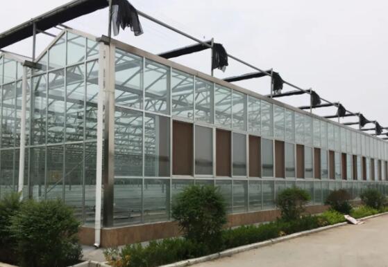 玻璃温室大棚建造价格