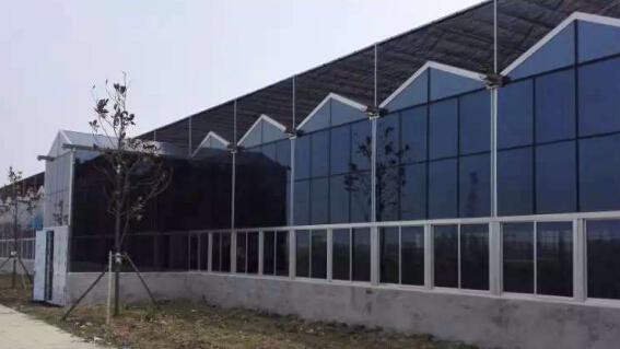 安徽凤台阳光餐厅玻璃温室